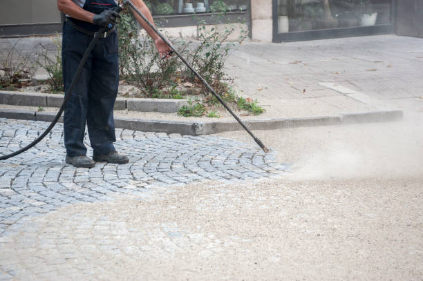 Best Sidewalk and Walkway Cleaning  in Claremont, CA